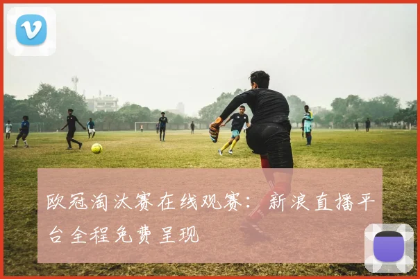 欧冠淘汰赛在线观赛：新浪直播平台全程免费呈现