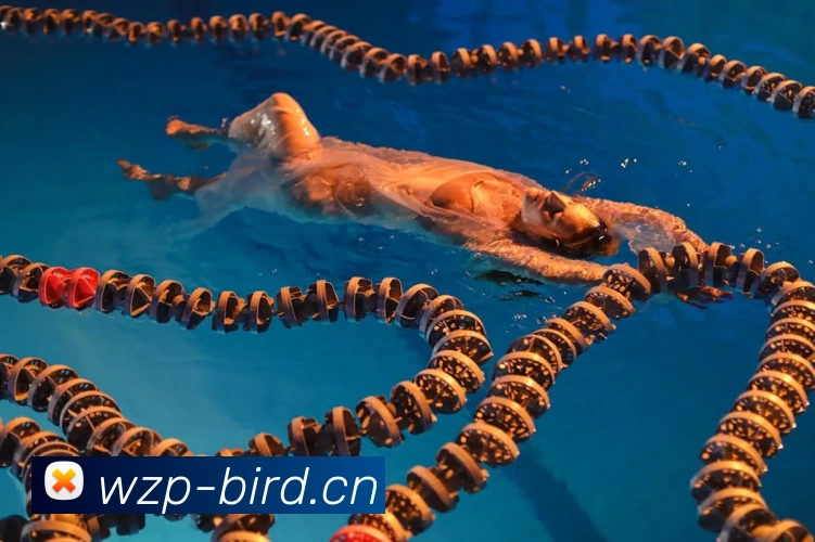 米兰app官方正版官网APP 高清赛事图